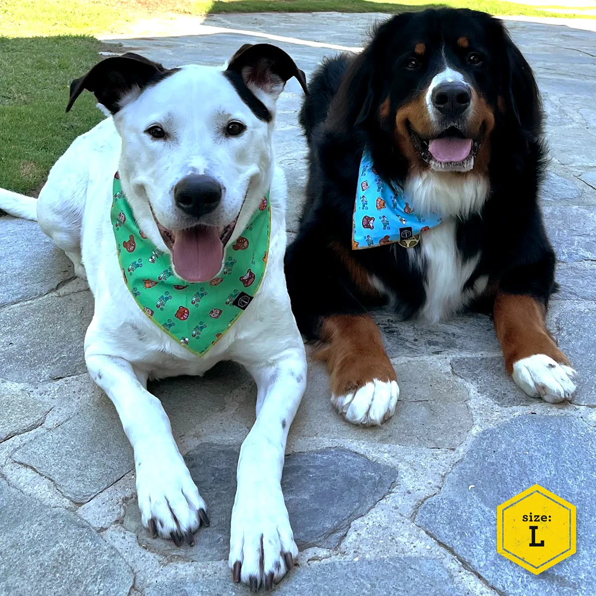 Critical Role Reversible Pet Bandana Set 2-Pack