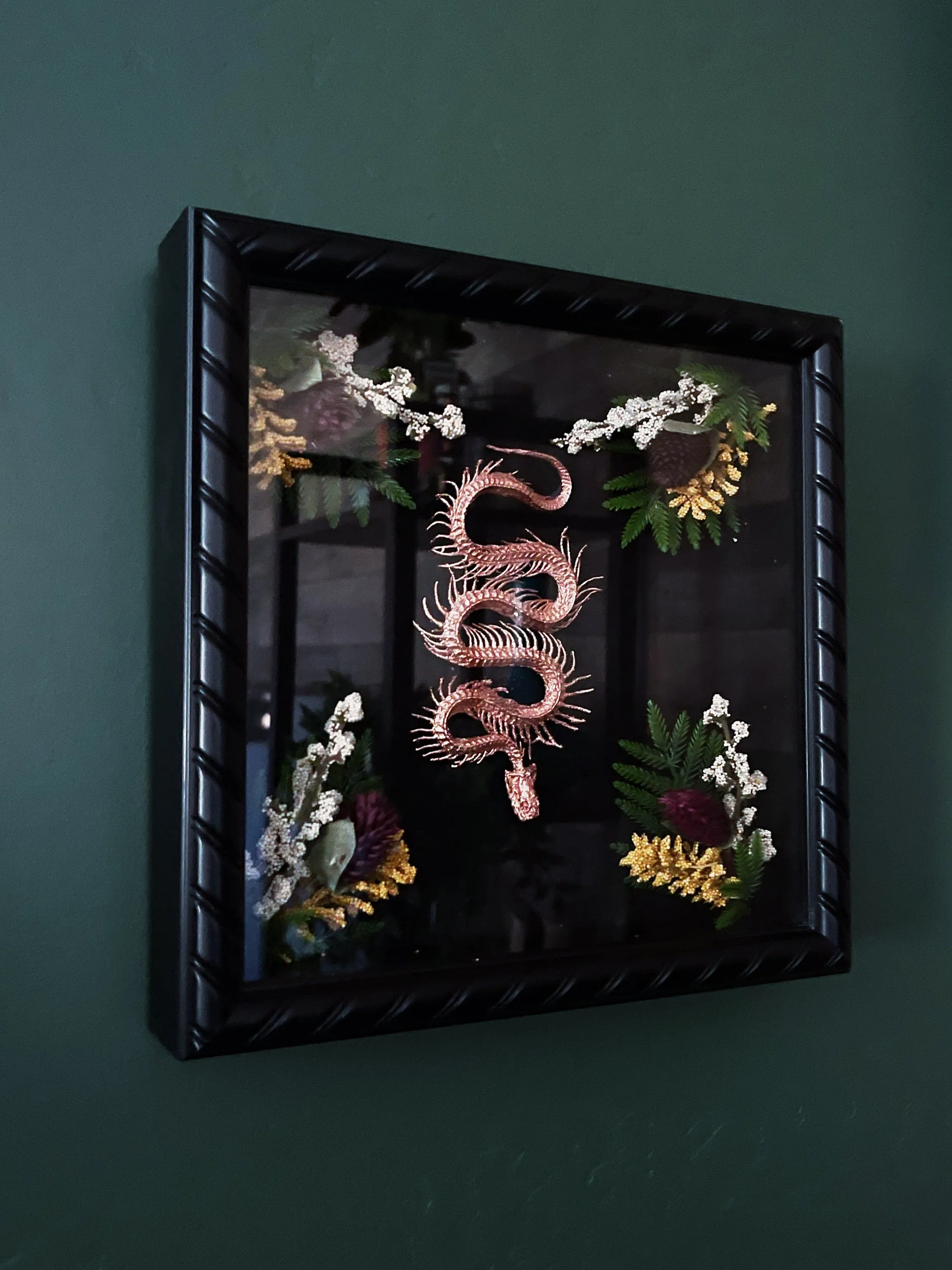 Snake oddity shadow box