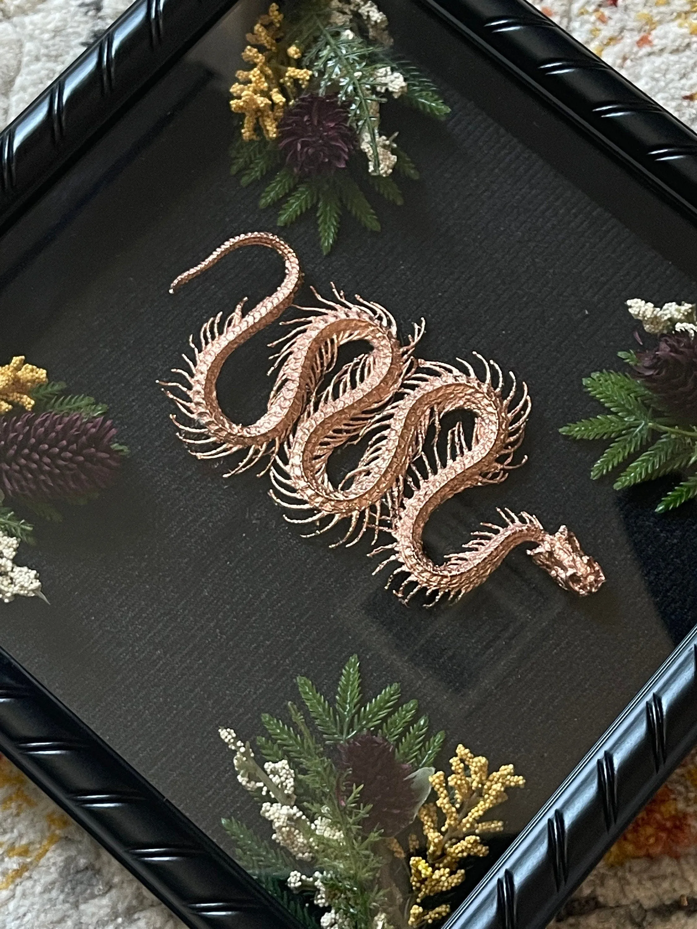 Snake oddity shadow box