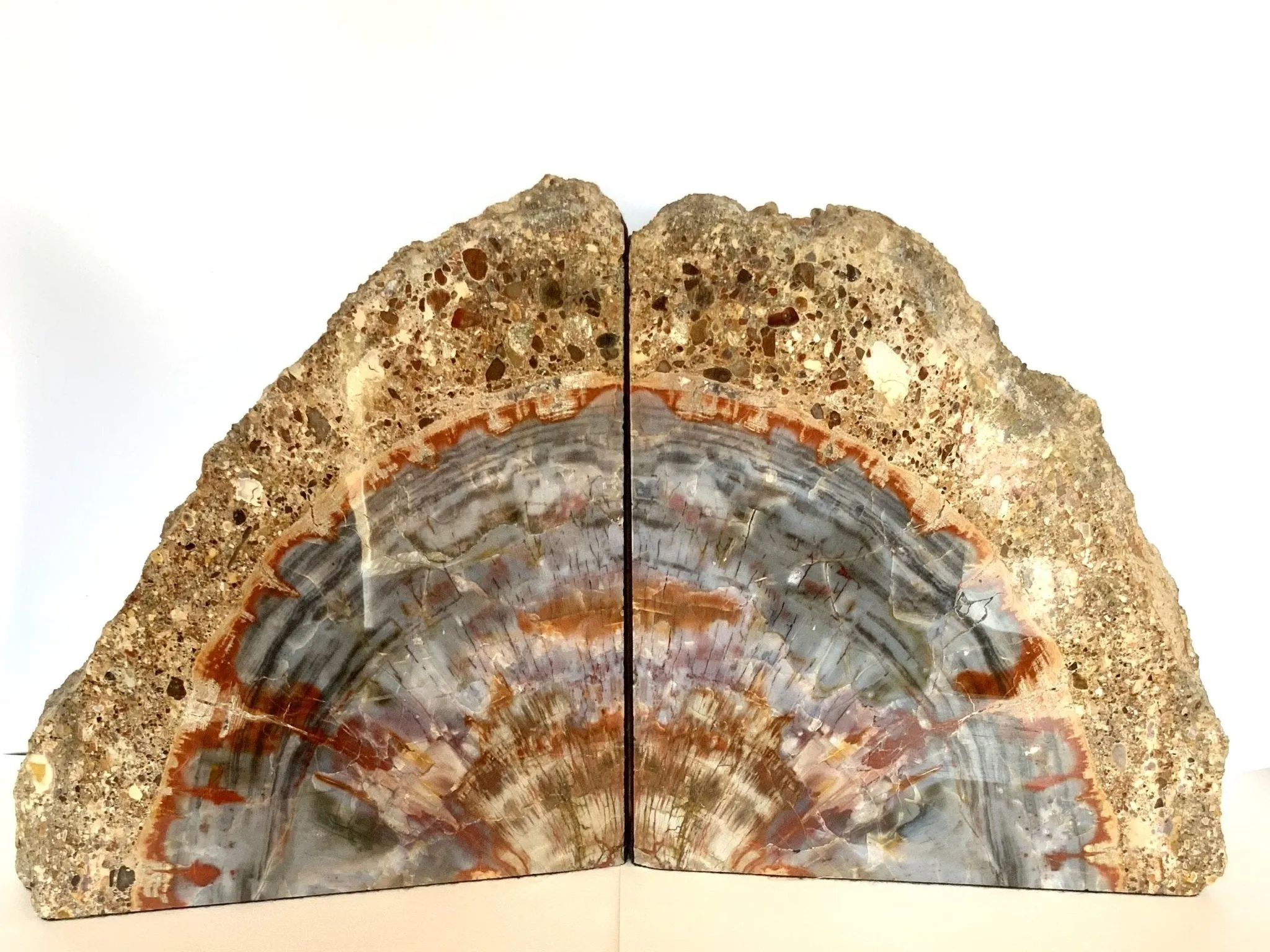 Ultra Large Rainbow Petrified Wood Bookends